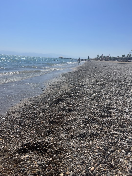 Strand Crystal Family Comfort Collection