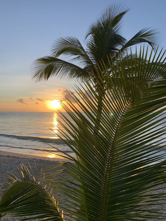 Ausblick Akumal Bay Beach & Wellness Resort