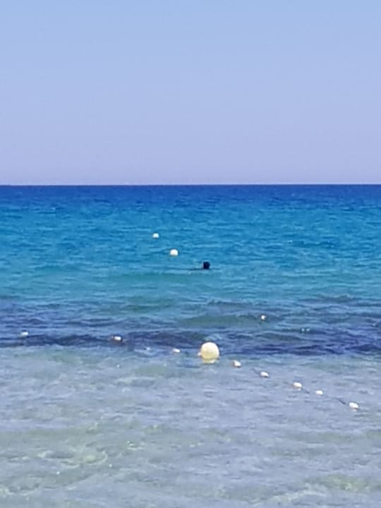 Strand Club Salammbô Hammamet