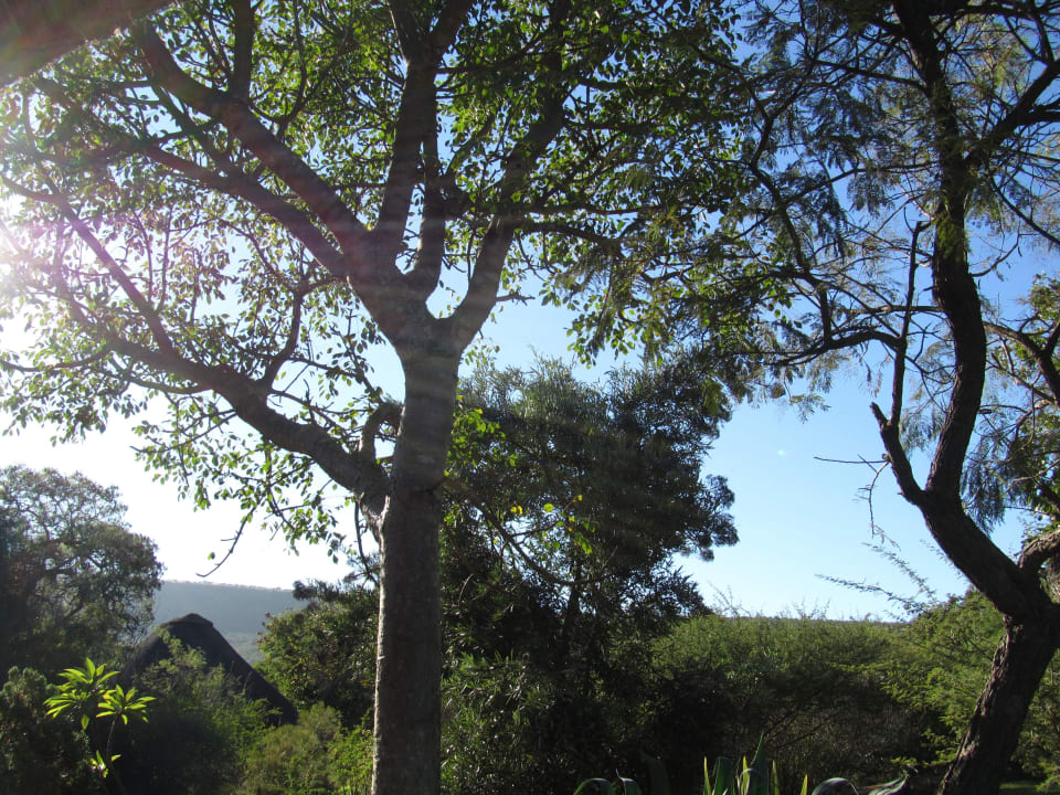 Guten Morgen Afrika Hotel Iketla Lodge