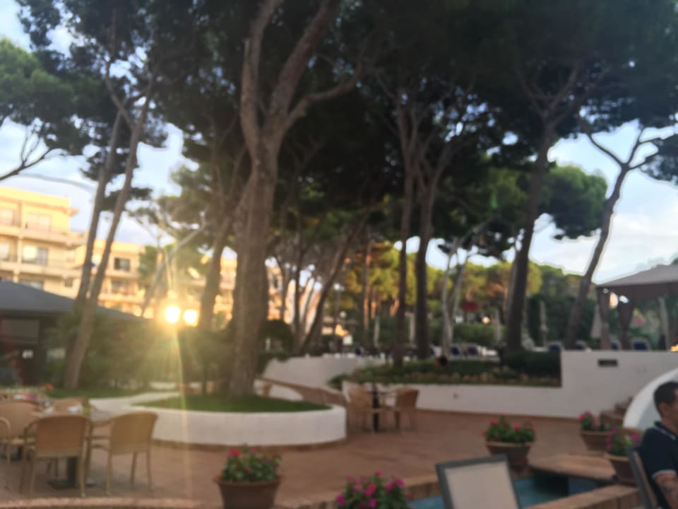 Poolbereich Hotel & Spa S'Entrador Playa
