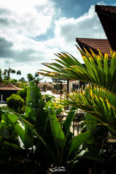 Gartenanlage allsun Hotel Esplendido