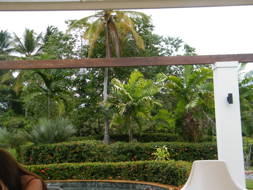 View from the french a la cart terrace TRS Turquesa Hotel - Adults only