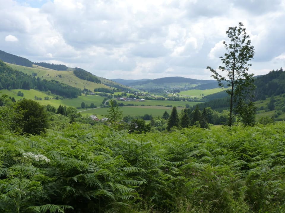 Blick ins Bernauer Tal Hotel Landgasthof Bergblick