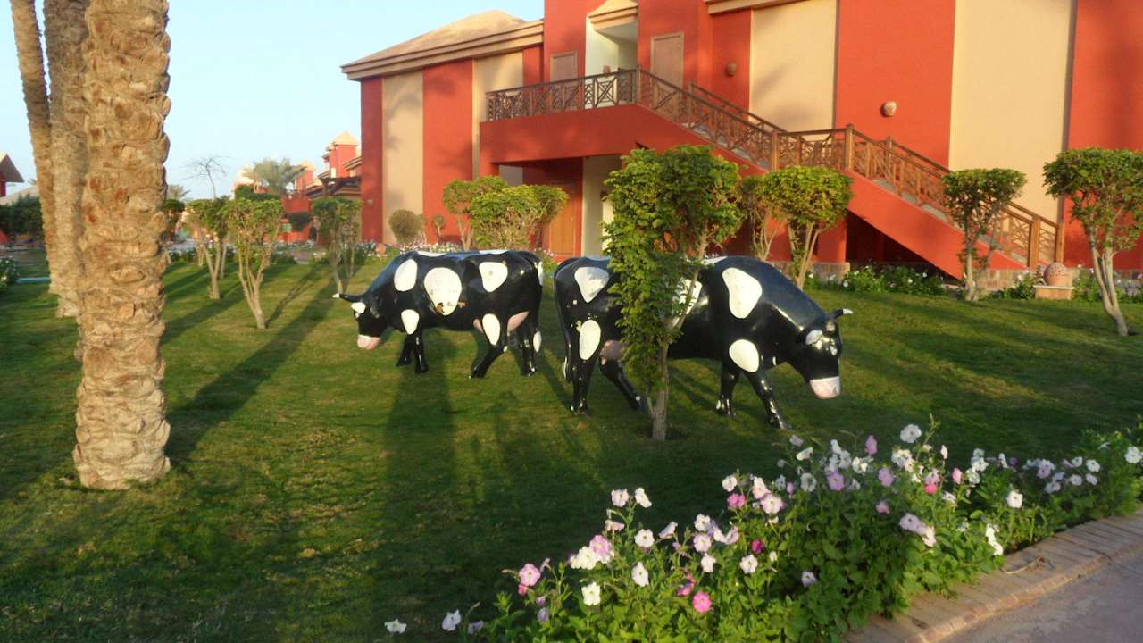 Im neuen Teil Pickalbatros Alf Leila Wa Leila Resort - Neverland Hurghada