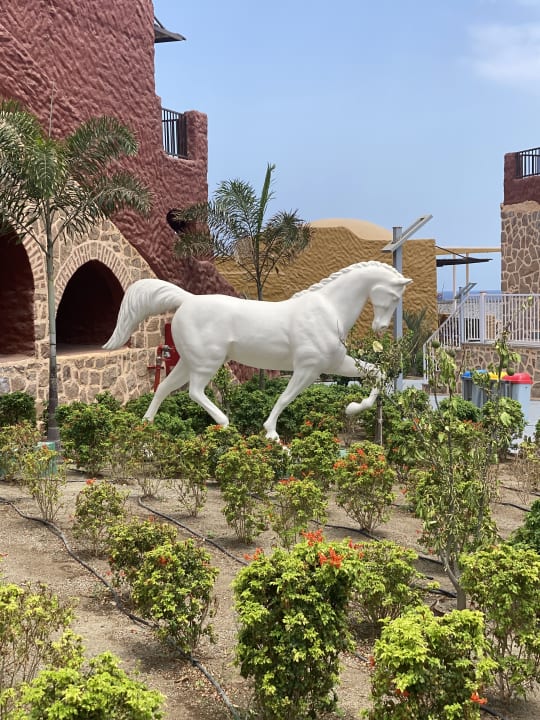 Gartenanlage Pickalbatros Villaggio Resort - Portofino