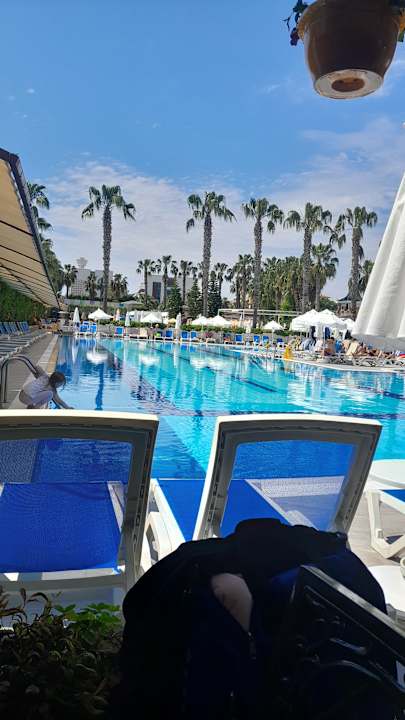 Pool Hane Family Resort