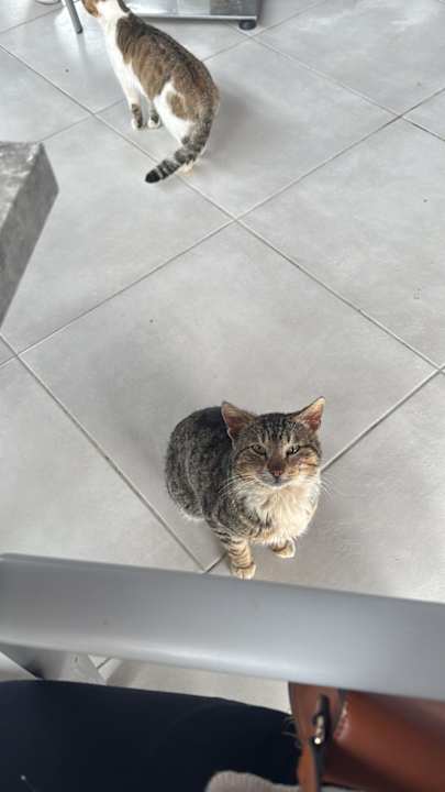 Sonstiges Palm Wings Kusadasi Beach Resort & Spa