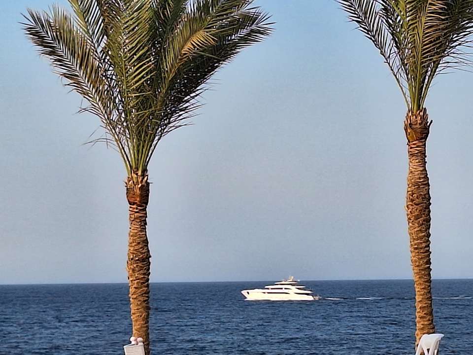 Ausblick JAZ Neo Reef Marsa