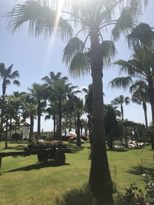 Gartenanlage Saphir Resort & Spa