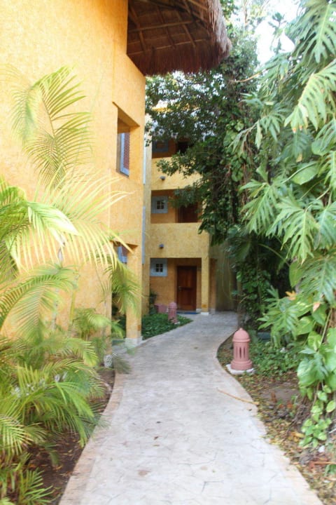 Block 15 Iberostar Waves Tucan