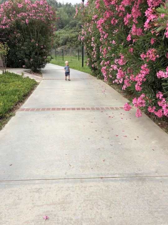 Gartenanlage Aqua Fantasy Aquapark Hotel & Spa