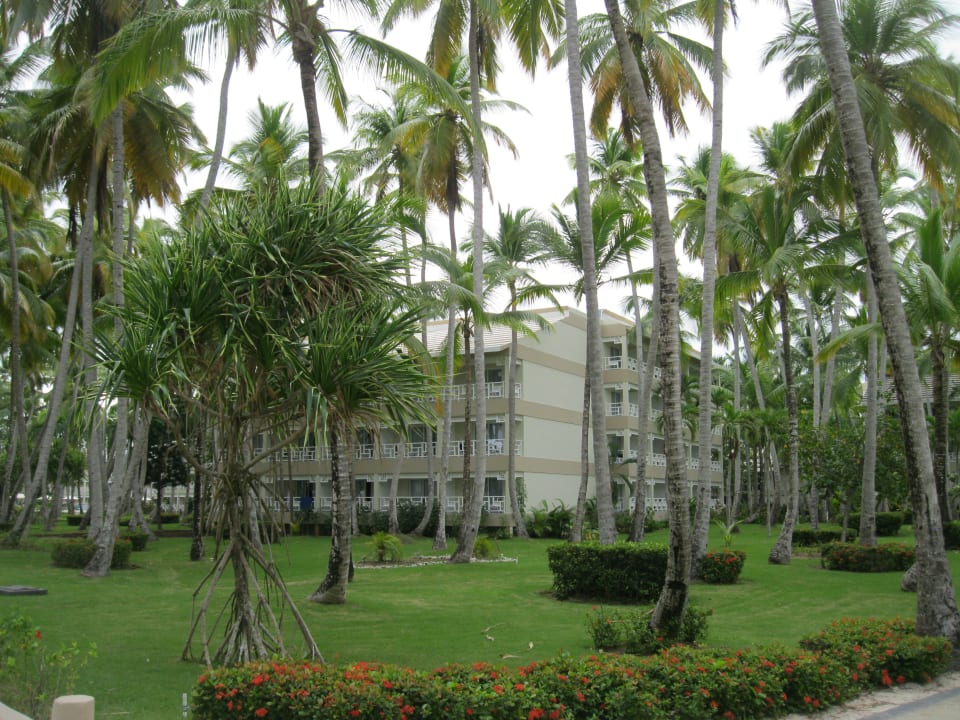 Gartenanlage Vista Sol Punta Cana