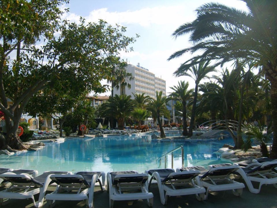 grosse Poollandschaft Alcudia Garden Aparthotel