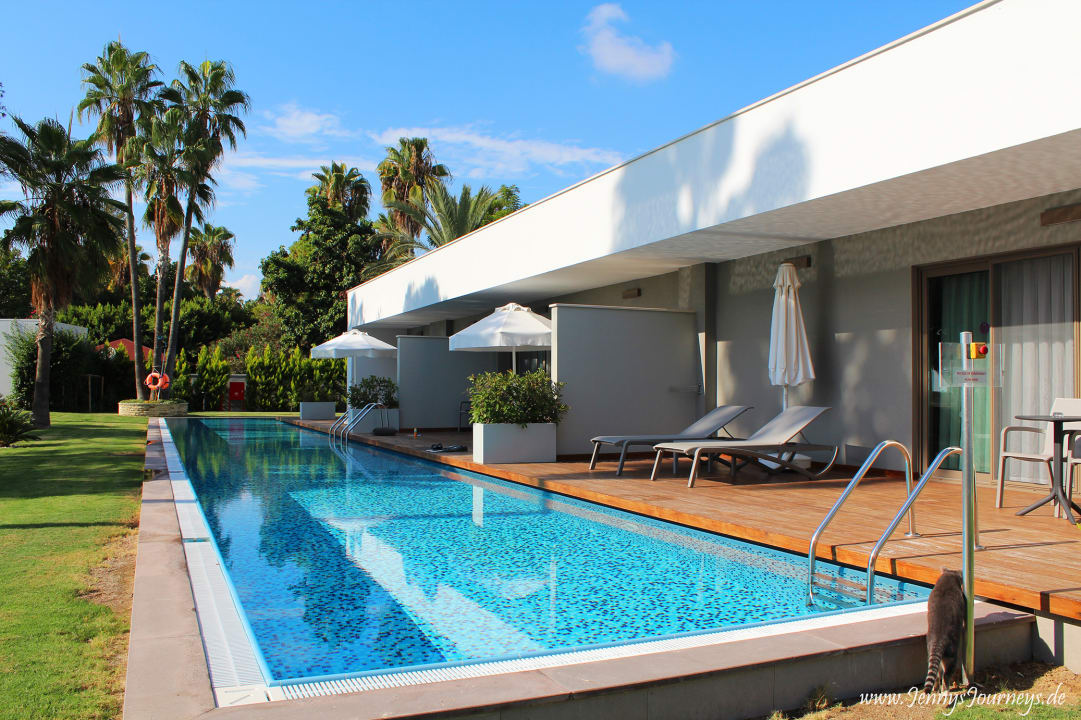 Zimmer Acanthus Cennet Barut Collection