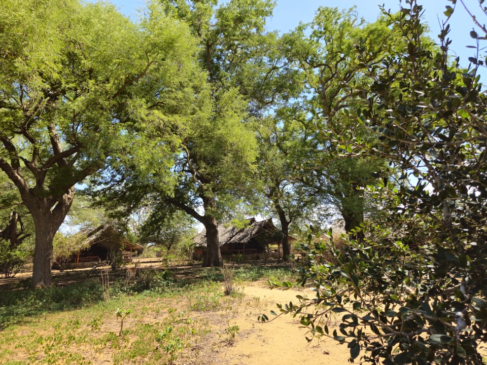 Gartenanlage Satao Camp
