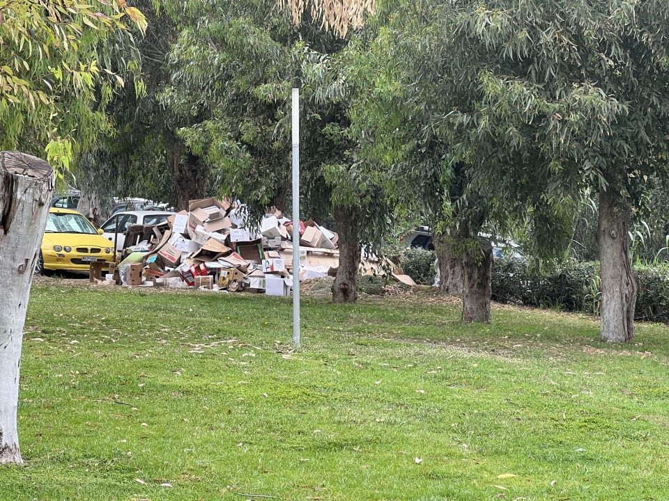 Pool Hotel Calypso Beach