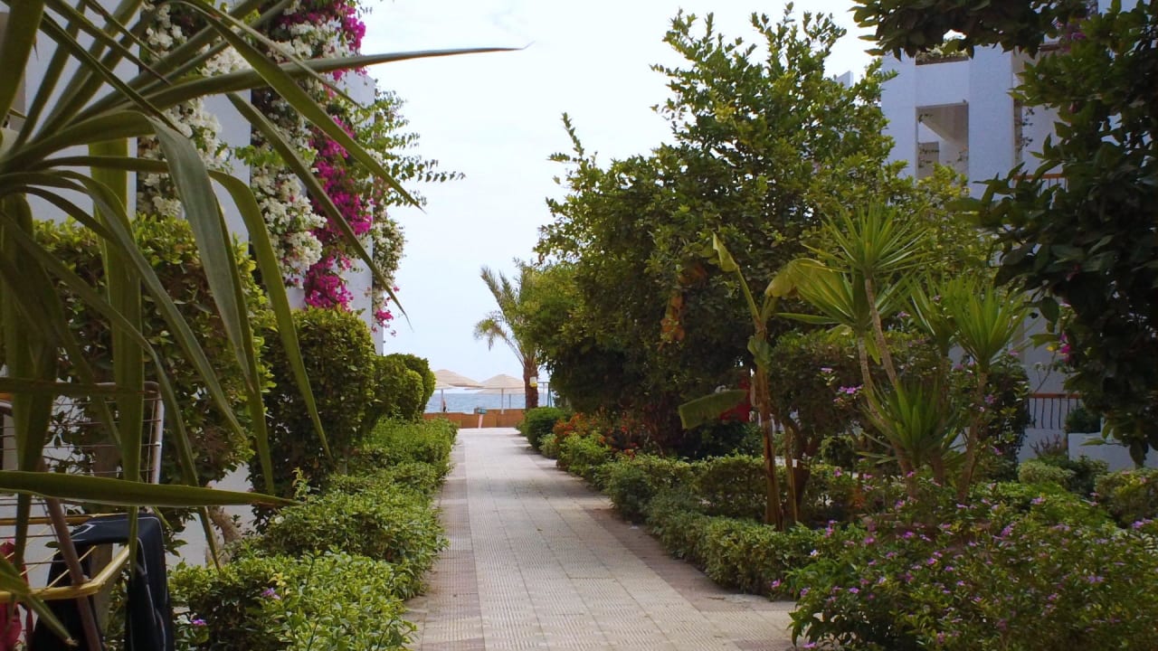 Zieleń Menaville Safaga