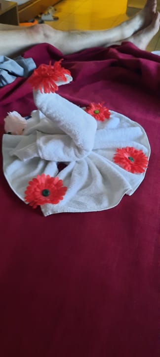 Zimmer TUI BLUE Pascha Bay