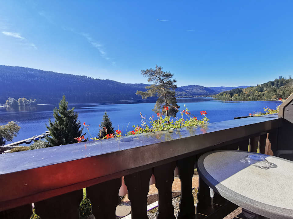 Ausblick Treschers Schwarzwald Hotel