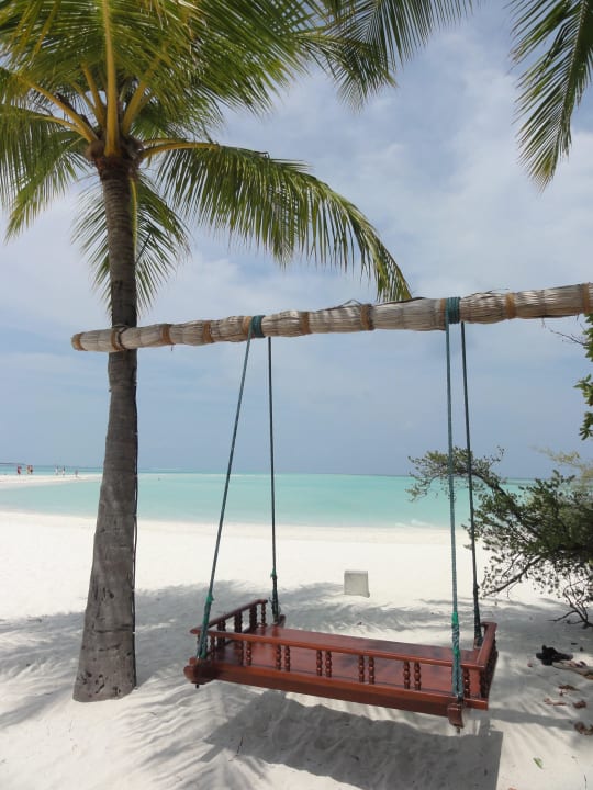 Schaukel an der Sunset Bar Kuredu Island Resort & Spa