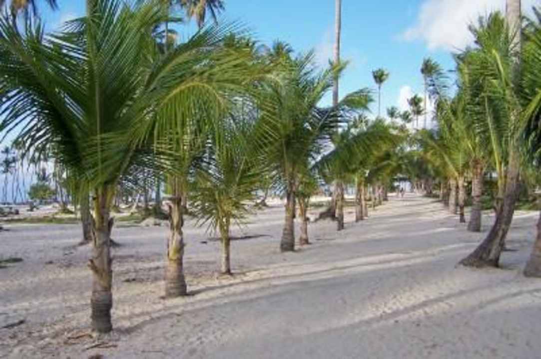 Weg zum Strand Villas Bavaro Resort & Spa