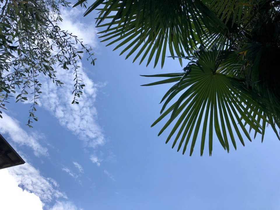 Gartenanlage Hotel Bellevue