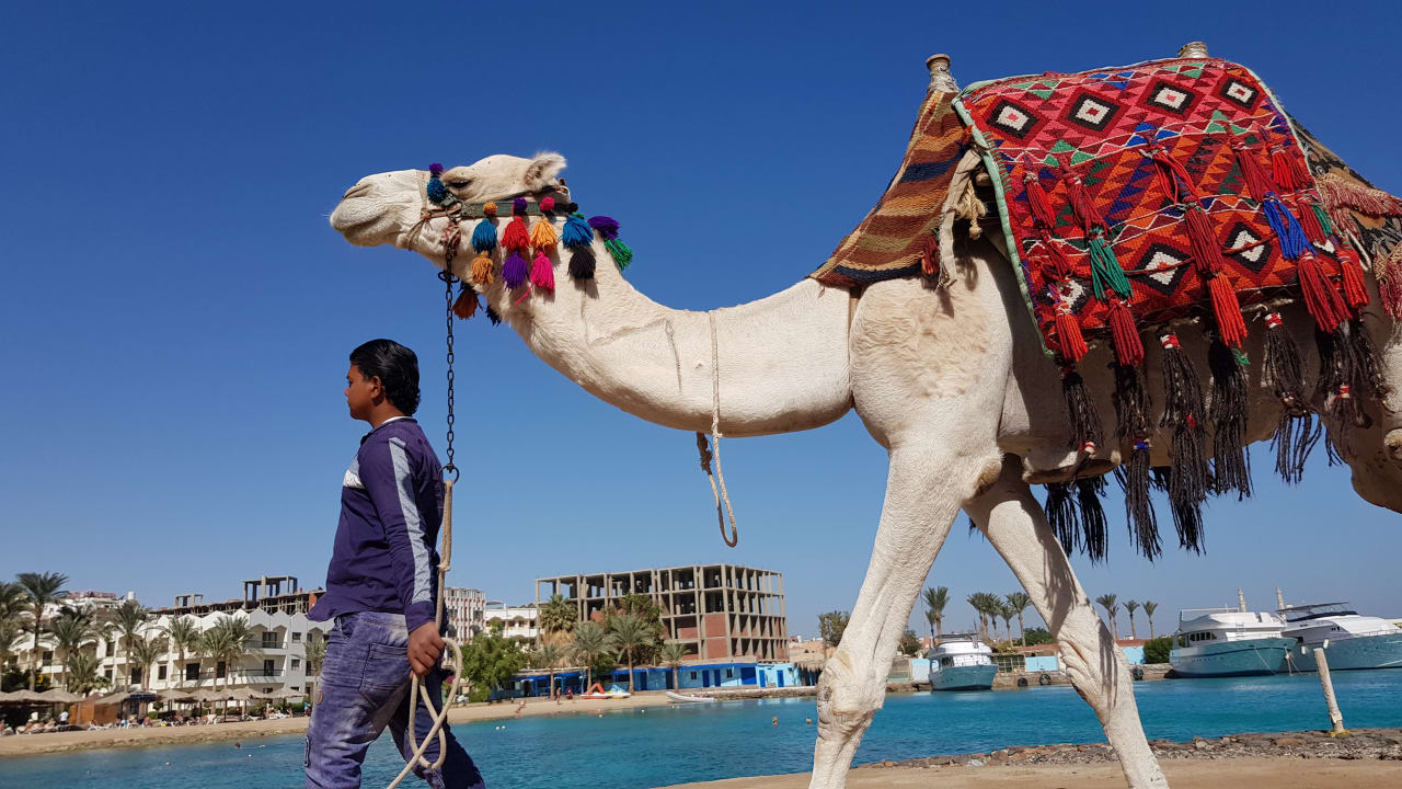 Strand Regina Resort and Aqua Park Hurghada