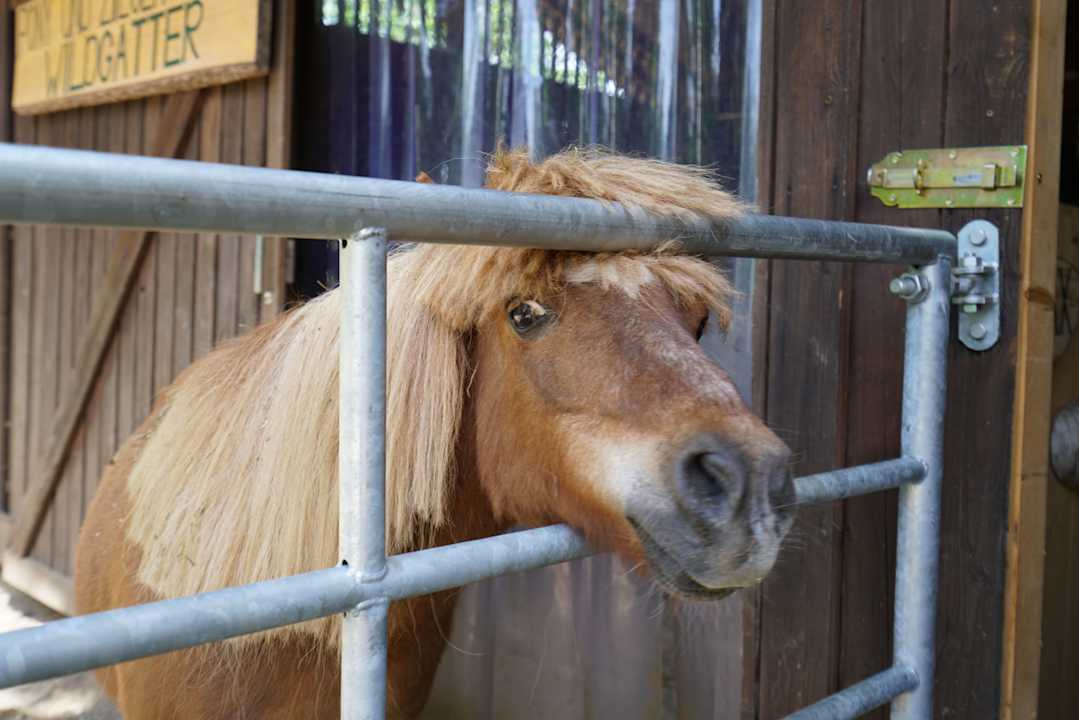Sonstiges Wildgatter Ferienappartements