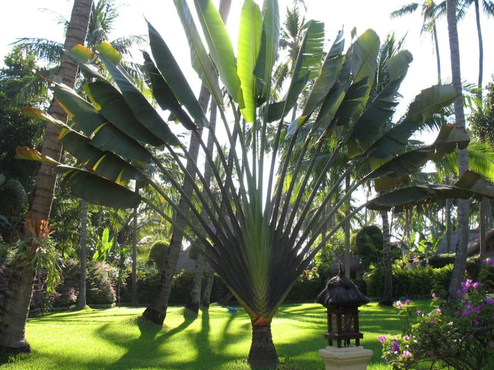 Gartenanlage Alam Anda Ocean Front Resort & Spa