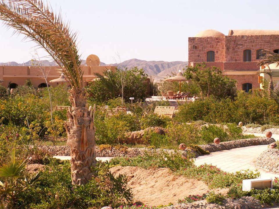 Herrlicher Blick über den Garten Sea Hug Resort