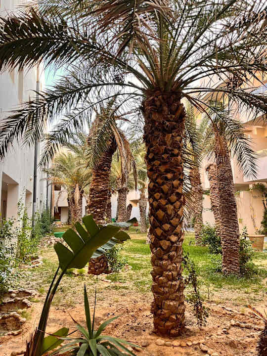 Außenansicht Welcome Meridiana Djerba Hotel