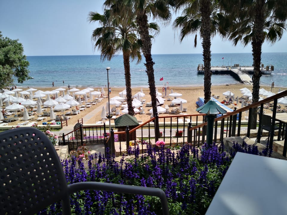 Ausblick Arum Barut Collection