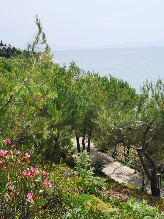 Gartenanlage Club Marvy