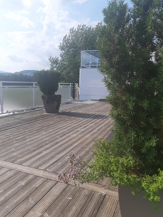 Pool Wilfinger Ring Bio Hotel