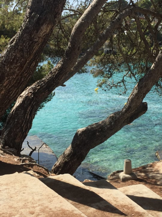 Strand Iberostar Waves Pinos Park