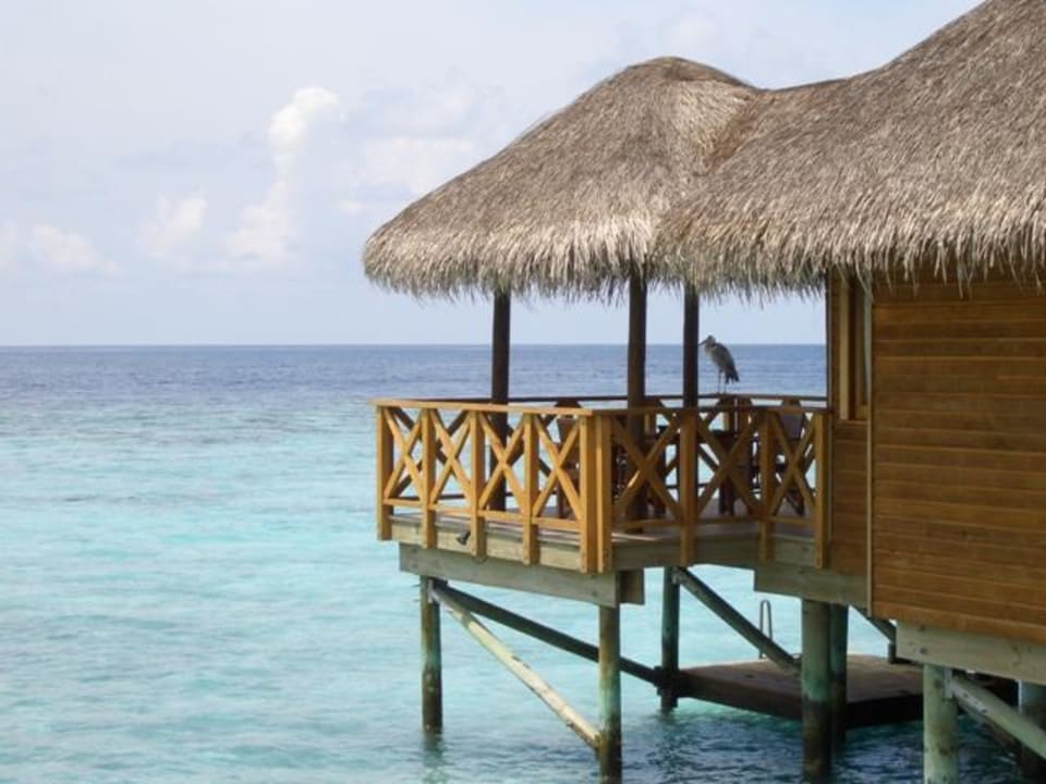 Wasserbungis Fihalhohi Maldives