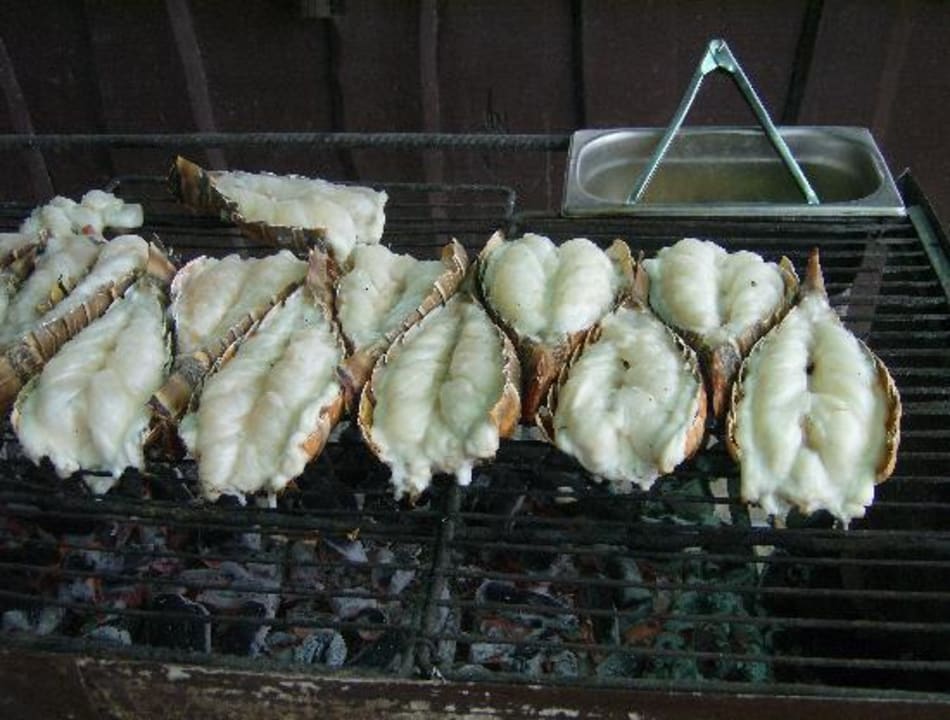 Es gab jeden Tag Gegrilltes, auch Langusten Sol Hicacos Varadero