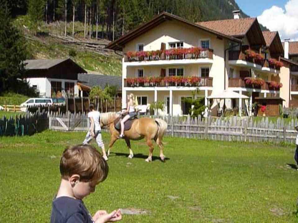 Ponyreiten Alphotel Tyrol