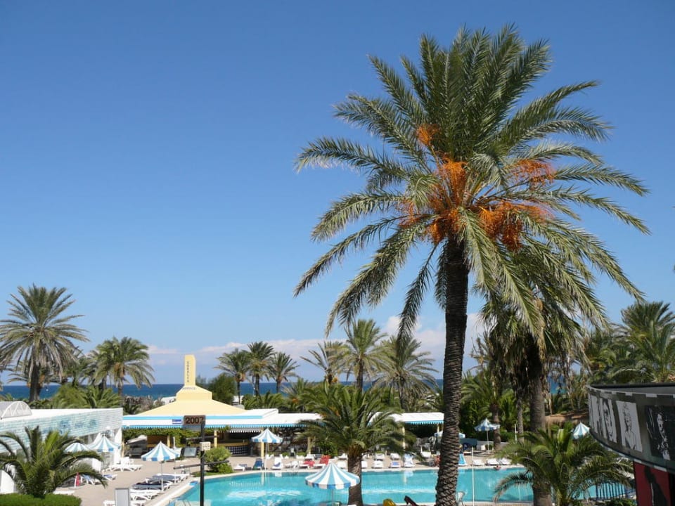 Pool Hotel Coralia Jawhara Palm Beach