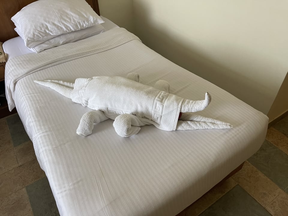 Zimmer Three Corners Equinox Beach Resort