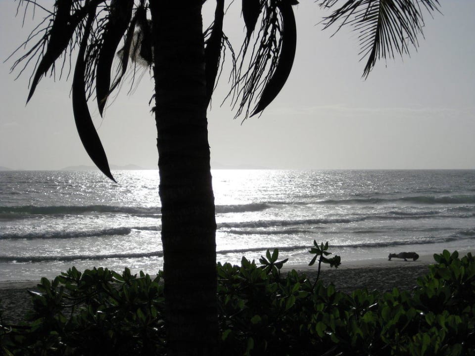 Strand Hotel Flamenco Villas / Beach Club