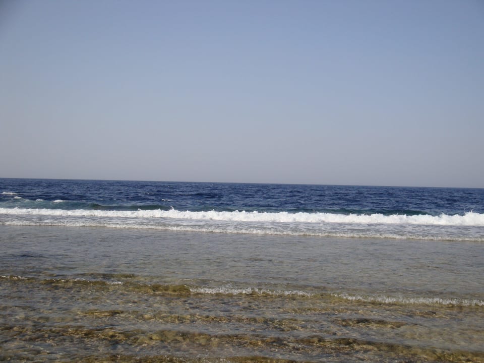 Wejście do morza i za chwilę rafa Coral Hills Resorts & SPA