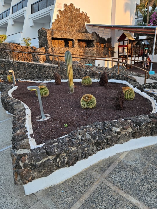 Gartenanlage Sol Fuerteventura Jandia - All Suites