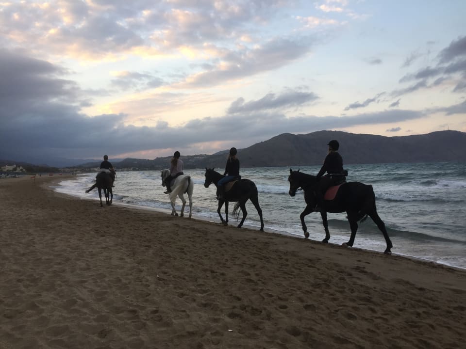 Strand Harmony Boutique Resort