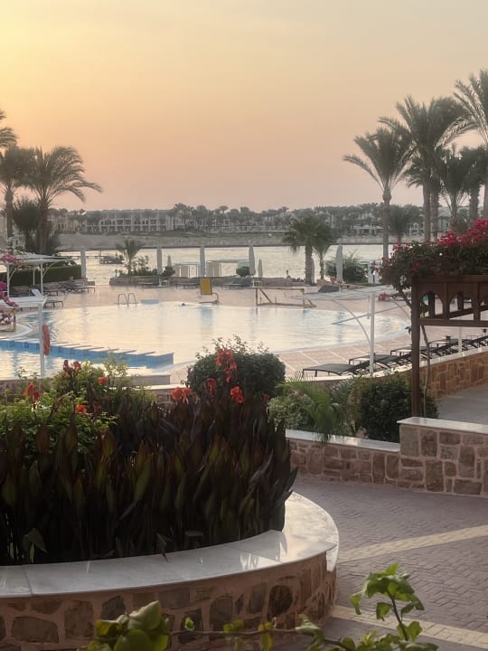 Pool Steigenberger Coraya Beach - Adults only