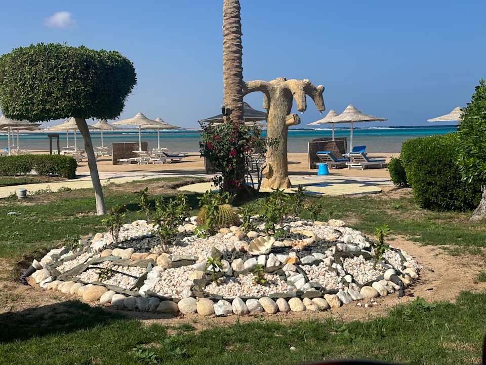 Gartenanlage Swisstouch Oriental Resort Marsa Alam