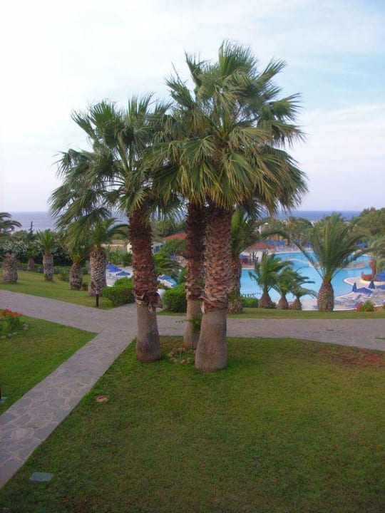 Palmen am Pool Kresten Palace Hotel