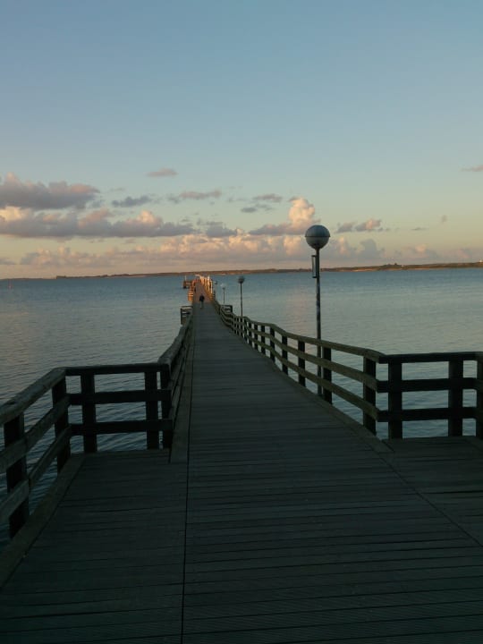 Die Seebrücke Phönix Hotel Seeblick