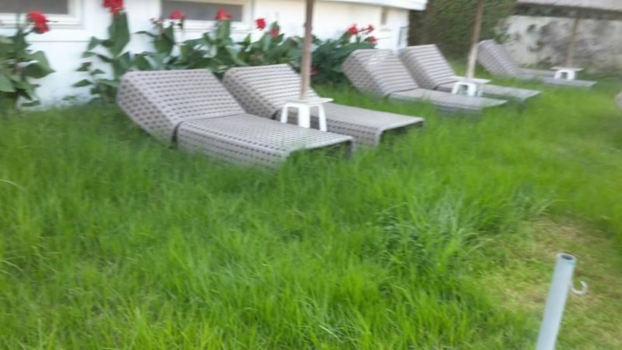 Liegewiese ananea Kos